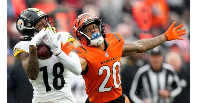 Bengals vs Pittsburgh Steelers Match Player Stats